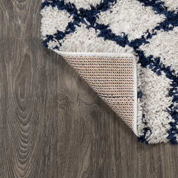 Algaida Moroccan Diamond Shag Area Rug